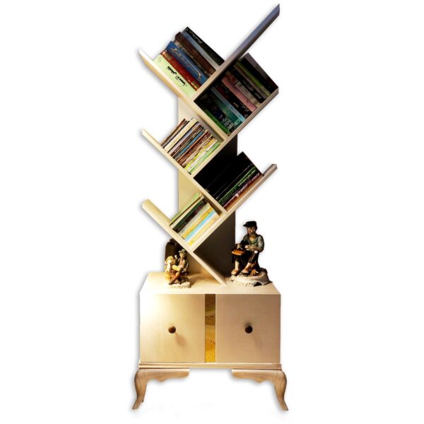 Ladderline Book shelf With Drawer