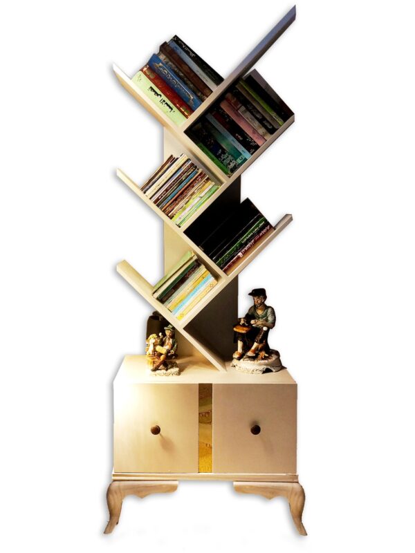 Ladderline Book shelf With Drawer
