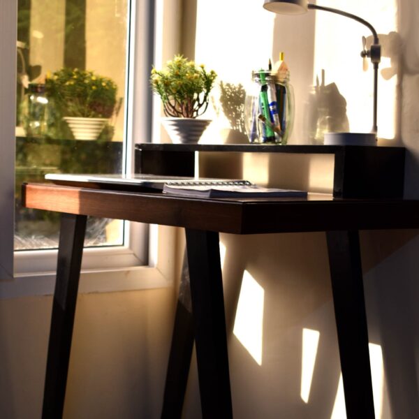 Work from Home Desk