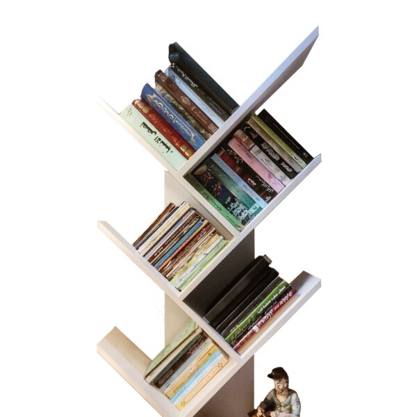 Ladderline Book shelf With Drawer